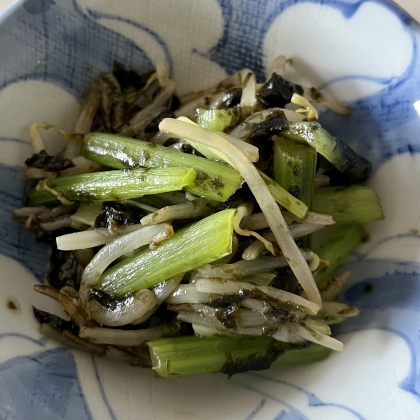 レンジで！もやしと小松菜の海苔和え