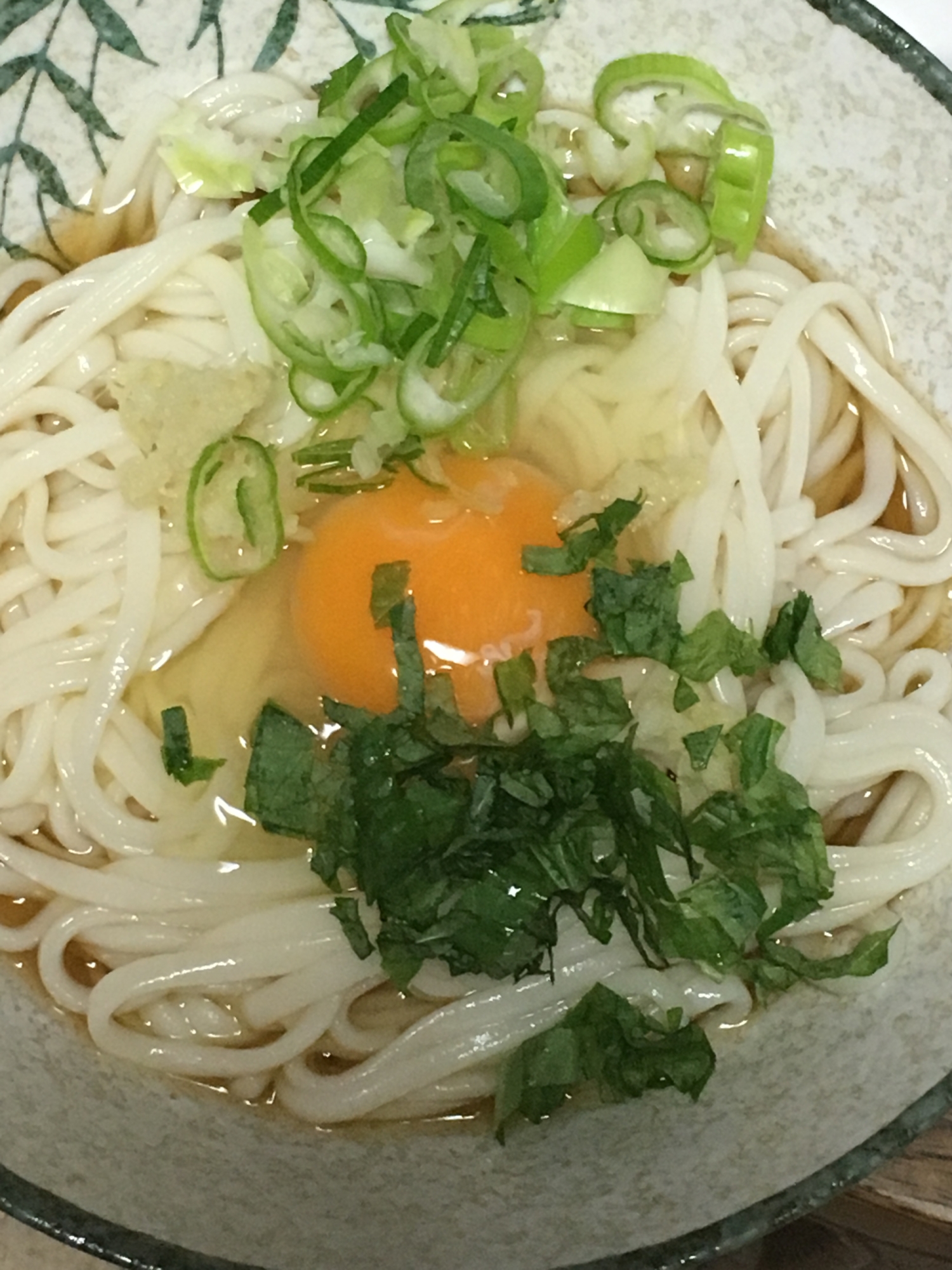 玉子、大葉、生姜、ネギの冷やしうどん