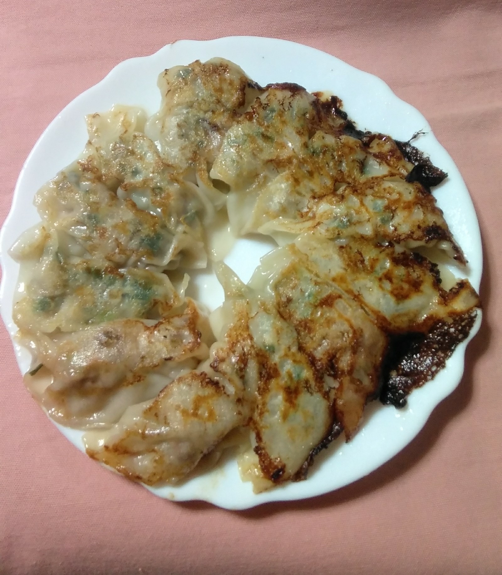 いか入り焼き餃子