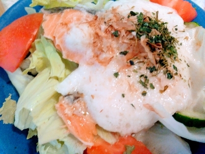 とろろサラダは初めて！でした。残り物の鮭の切り身のせてますがサラダととろろ健康的ですね(⌒▽⌒)
