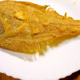 ヒラメの簡単レシピランキング Top 1位 位 楽天レシピ ヒラメの簡単レシピランキング Top 1位 位 楽天レシピ