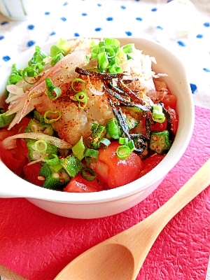 トマトとオクラと大根おろしの汁かけ飯