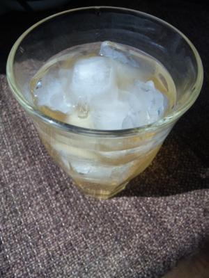 ホットでもアイスでもOK☆蜂蜜レモン梅酒