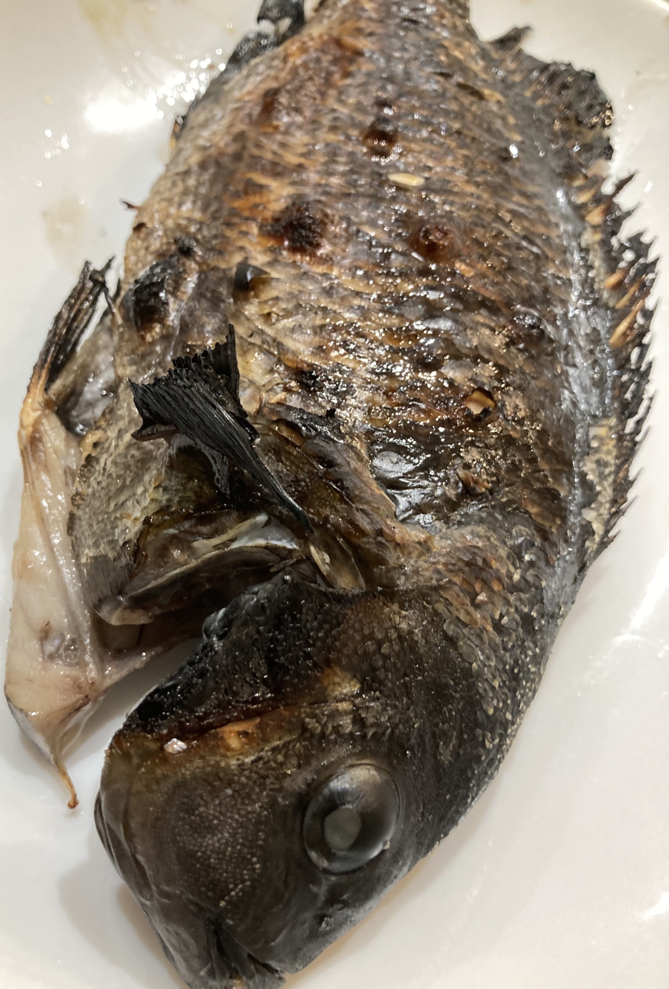 グレのフライパンでオリーブオイル焼き レシピ 作り方 By へんてこへんてこママ 楽天レシピ グレのフライパンでオリーブオイル焼き レシピ 作り方 By へんてこへんてこママ 楽天レシピ