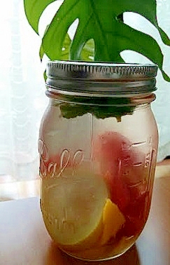 デトックスウォーター(ドライマンゴー&トマト)