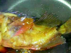 アラカブの煮付け E かさご レシピ 作り方 アラカブの煮付け E かさご レシピ 作り方