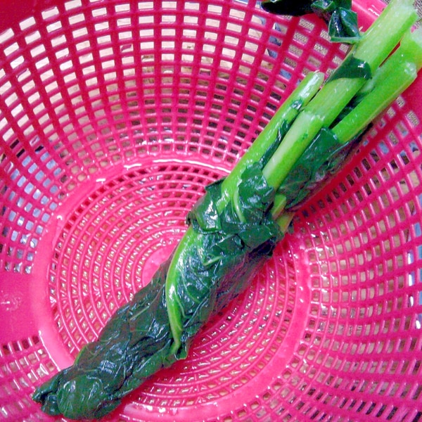 ブロッコリーの葉 下処理 レシピ 作り方 By ピラルク姐 楽天レシピ ブロッコリーの葉 下処理 レシピ 作り方 By ピラルク姐 楽天レシピ