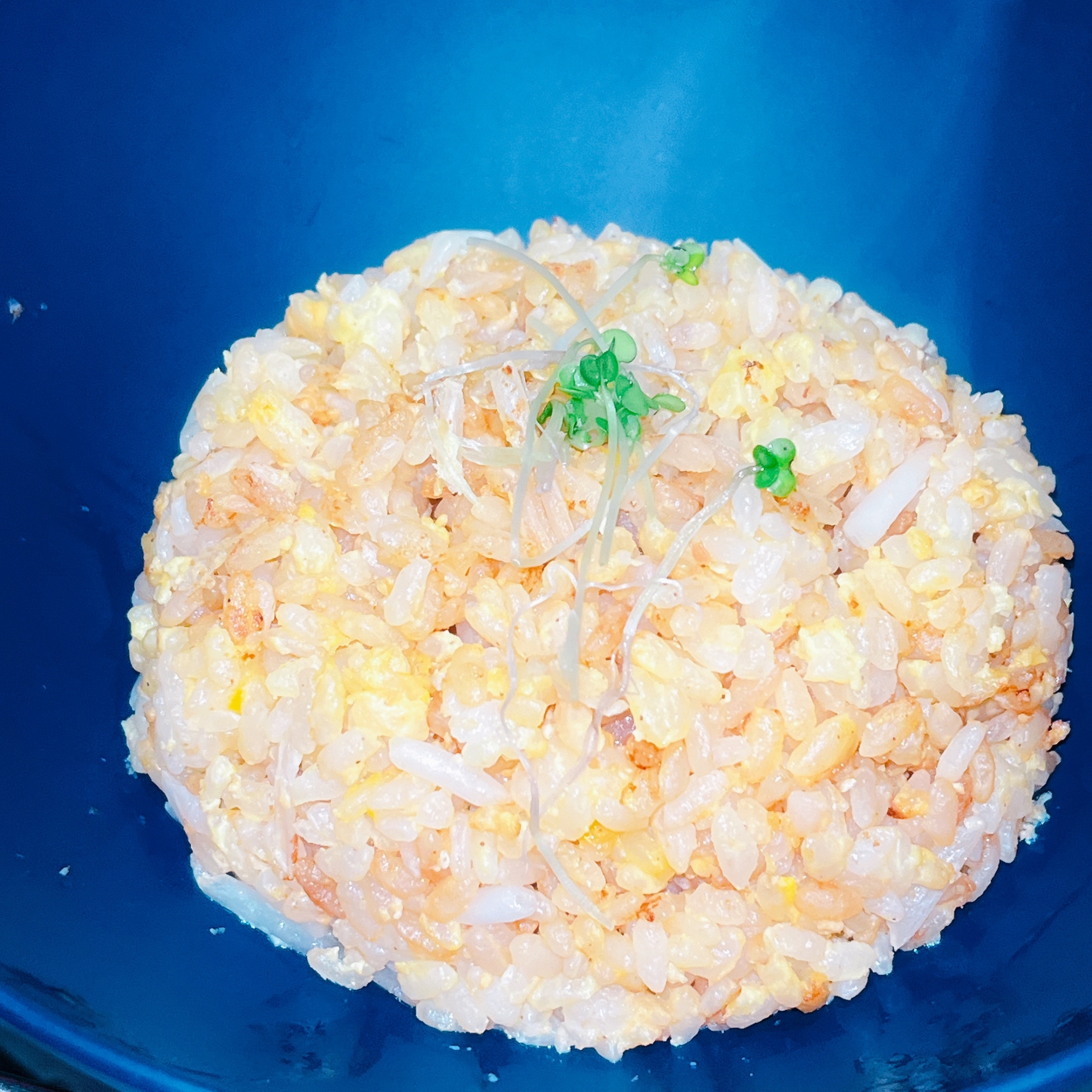 しゃきしゃきもやし￤炒飯￤簡単￤かさ増し￤弁当にも