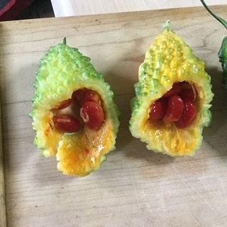 ゴーヤの赤い種牛乳 レシピ 作り方 By イーヨーさん 楽天レシピ ゴーヤの赤い種牛乳 レシピ 作り方 By イーヨーさん 楽天レシピ