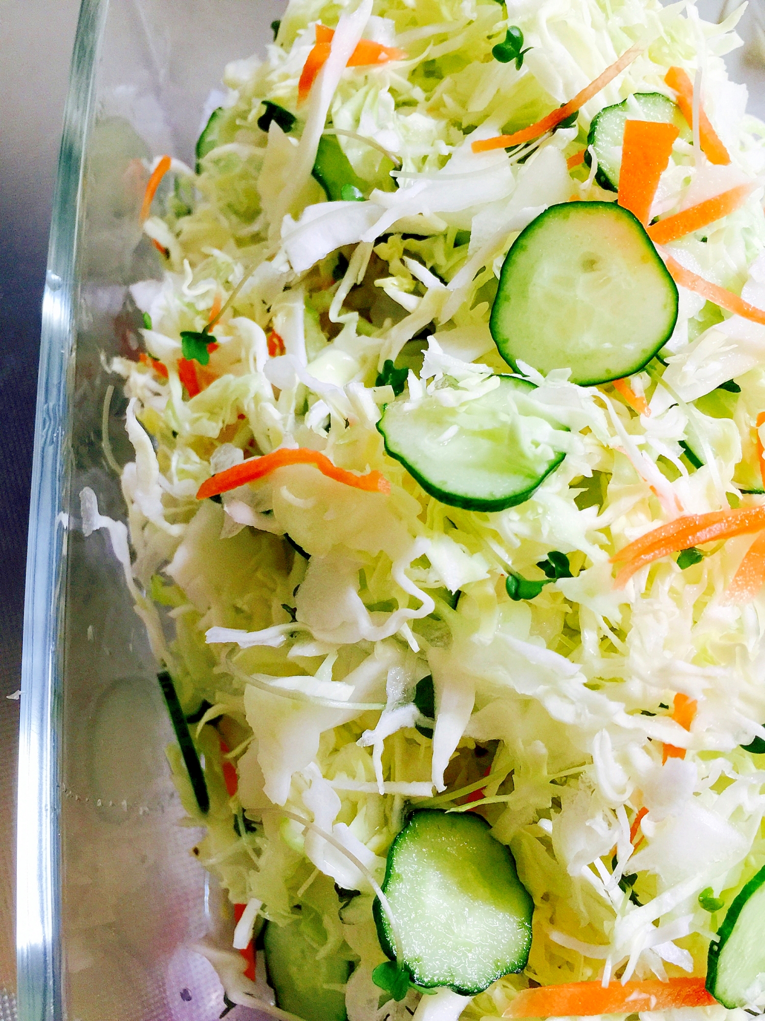 今日のサラダ キャベツとスプラウトでw抗がん作用 レシピ 作り方 By Toytoy Saori05 楽天レシピ 今日のサラダ キャベツとスプラウトでw抗がん作用 レシピ 作り方 By Toytoy Saori05 楽天レシピ