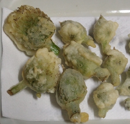 少量の油で♪葱坊主の天ぷら