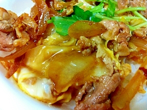 甘辛♪豚と玉ねぎの卵とじ丼