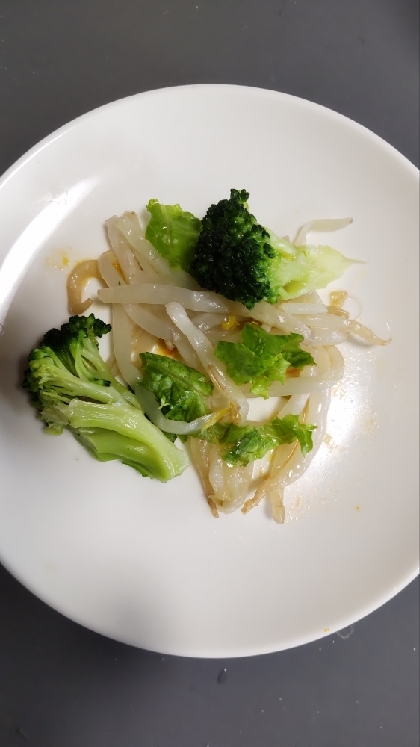 ブロッコリー黒豆もやしフーチバーきゃべつ蒸し煮
