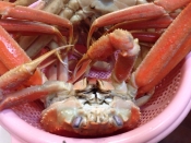 美味しく仕上げましょう ズワイガニの茹で方 レシピ 作り方 By アボカドプリン 楽天レシピ 美味しく仕上げましょう ズワイガニの茹で方 レシピ 作り方 By アボカドプリン 楽天レシピ