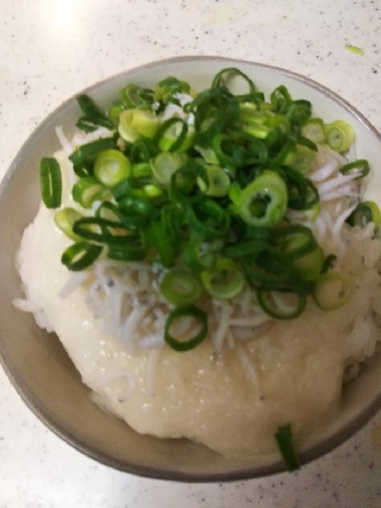 しらすとろろ丼