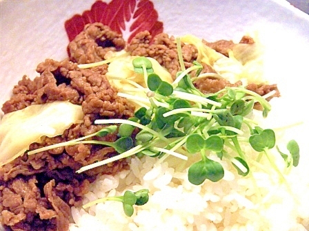 牛肉とキャベツのオイスター風味丼