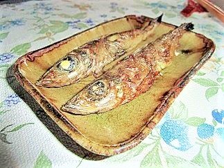 光る、うなる、わたがボムる!目光の塩焼き