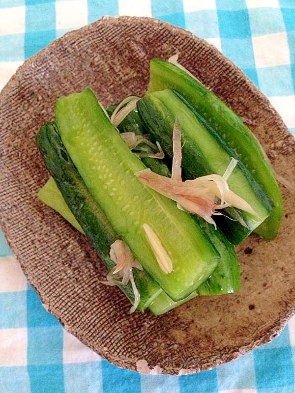 きゅうりの茗荷漬け♪