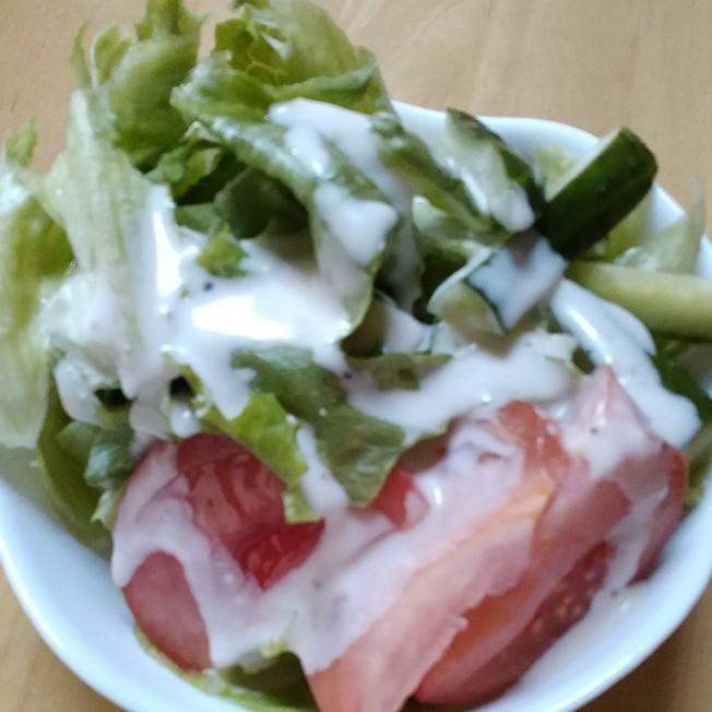 グリーンリーフ・胡瓜・トマトのサラダ