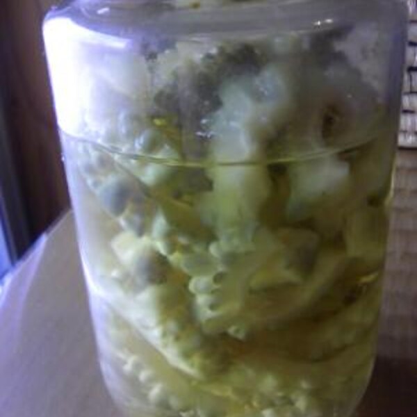 ゴーヤを保存しよう ゴーヤのピクルス レシピ 作り方 By 篠山おしん 楽天レシピ ゴーヤを保存しよう ゴーヤのピクルス レシピ 作り方 By 篠山おしん 楽天レシピ