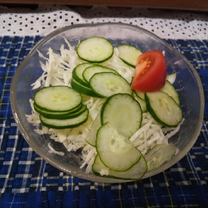 キャベツと水菜とトマトときゅうりのサラダ