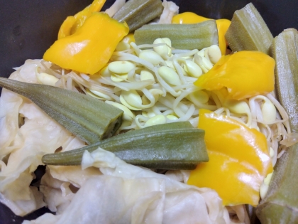 野菜サラダ（トマト・セロリ・黄パプリカetc..）
