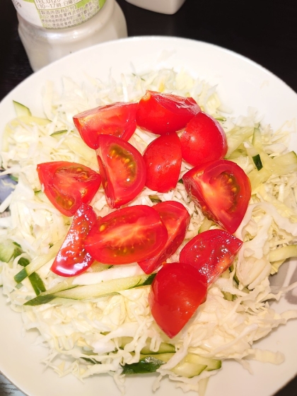 トマトときゅうりとキャベツのフレンチサラダ