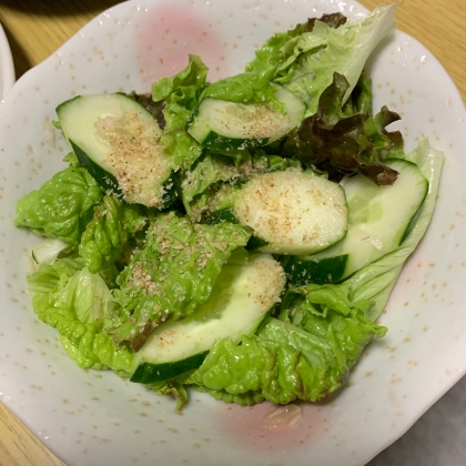 生姜と生野菜の胡麻サラダ