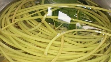 ふきの下処理と保存 レシピ 作り方 By ミルミント 楽天レシピ ふきの下処理と保存 レシピ 作り方 By ミルミント 楽天レシピ