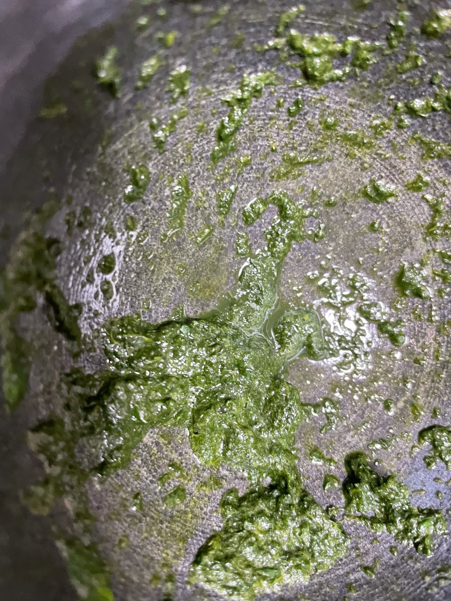 青じそたっぷり和風ジェノベーゼソース