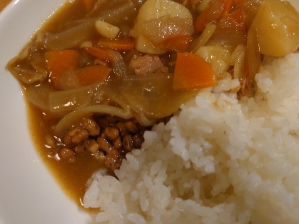 ネバトロ〜っと美味しい納豆カレー