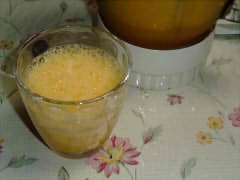 にんじん・ニガウリ・オレンジのジュース
