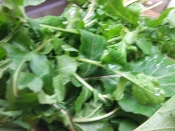 ルッコラ ソーセージ炒め レシピ 作り方 By Iihi009 楽天レシピ ルッコラ ソーセージ炒め レシピ 作り方 By Iihi009 楽天レシピ