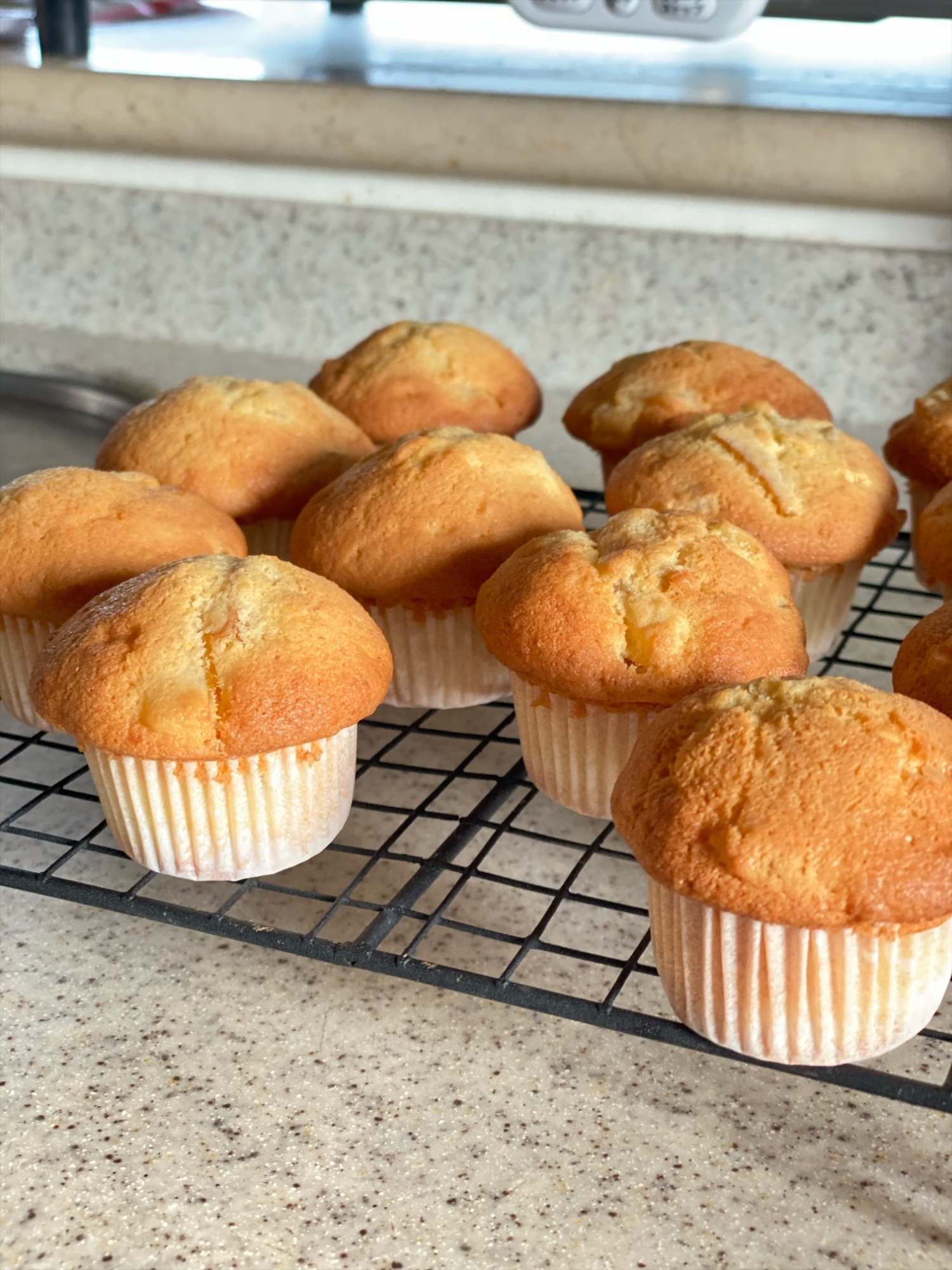 ソイレブール使用の柑橘系ピールのマフィン