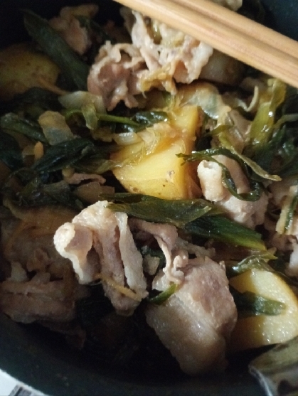 肉ねぎじゃが煮