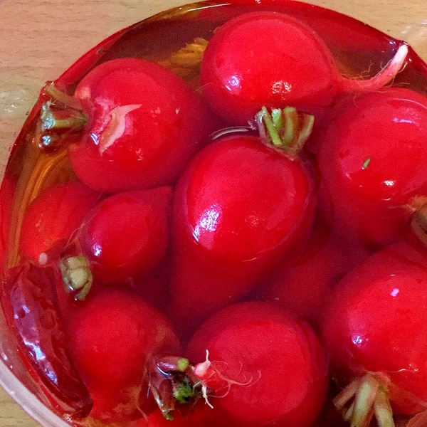 簡単 ラディッシュのピクルス レシピ 作り方 By ひらりぃー 楽天レシピ 簡単 ラディッシュのピクルス レシピ 作り方 By ひらりぃー 楽天レシピ