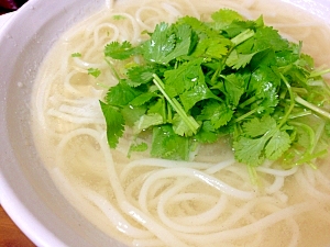 パクチーたっぷりのせて！冷たいアジアンうどん