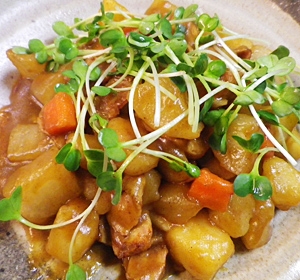 大根ジャガイモ人参のカレー麺つゆ煮