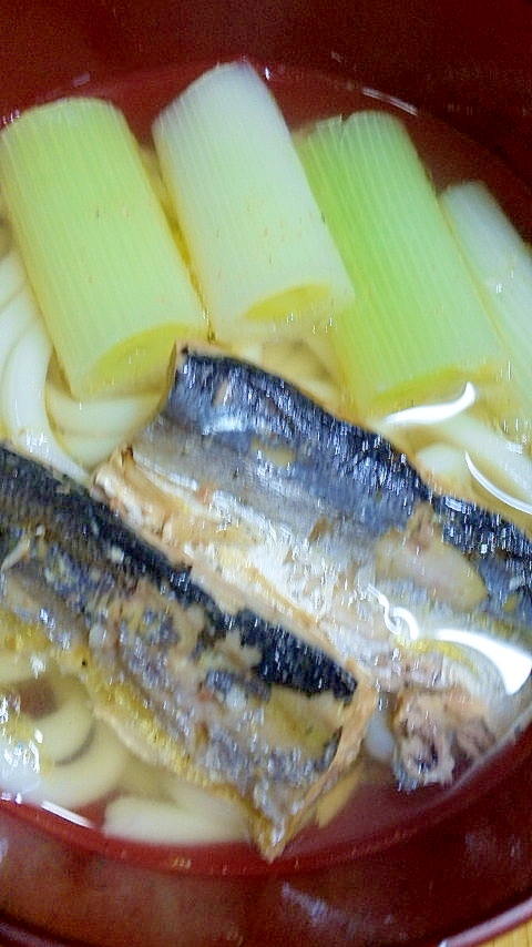 簡単！葱と秋刀魚のおうどん