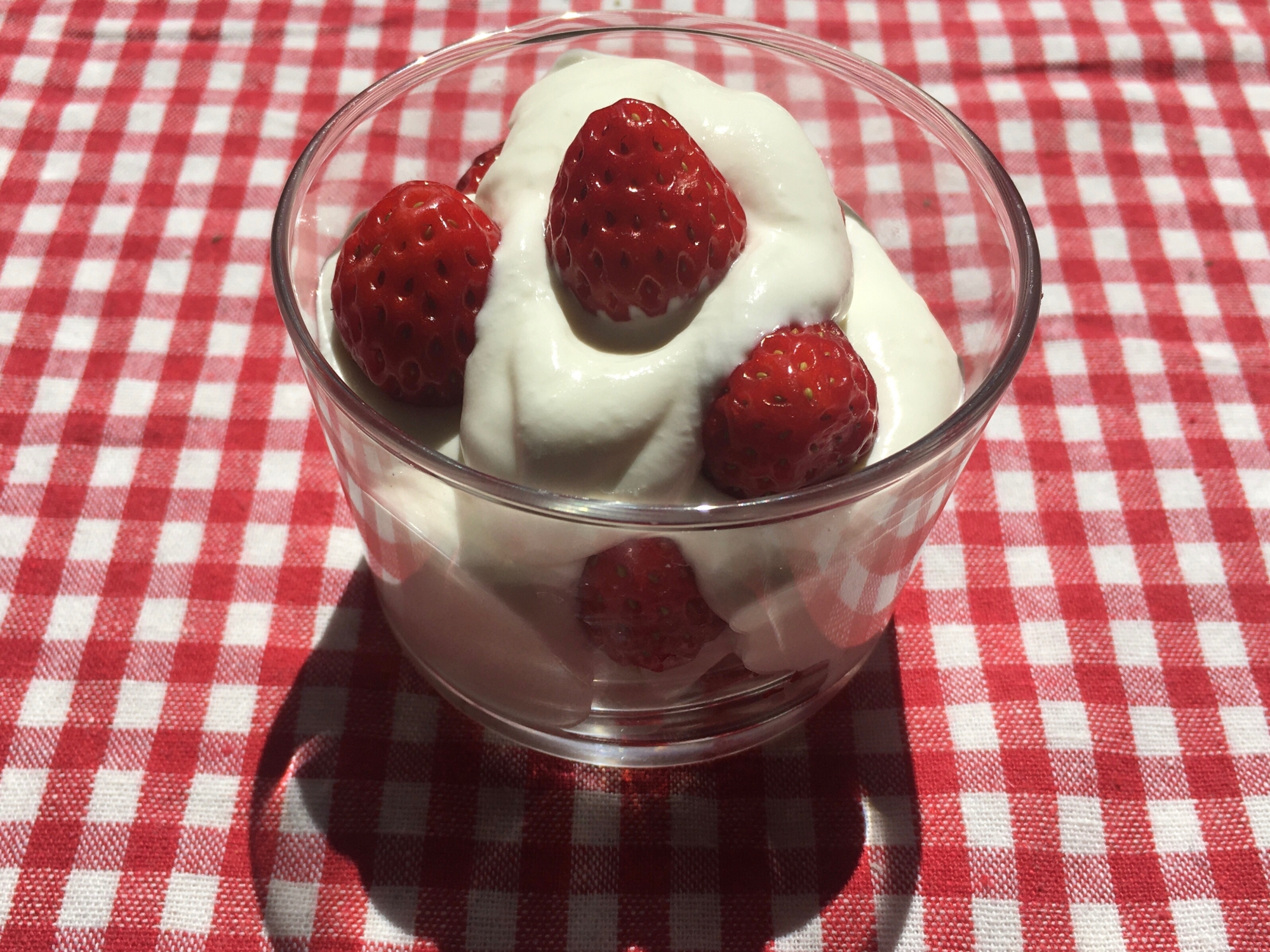 甘さ控えめ♪まろやかヨーグルトクリーム
