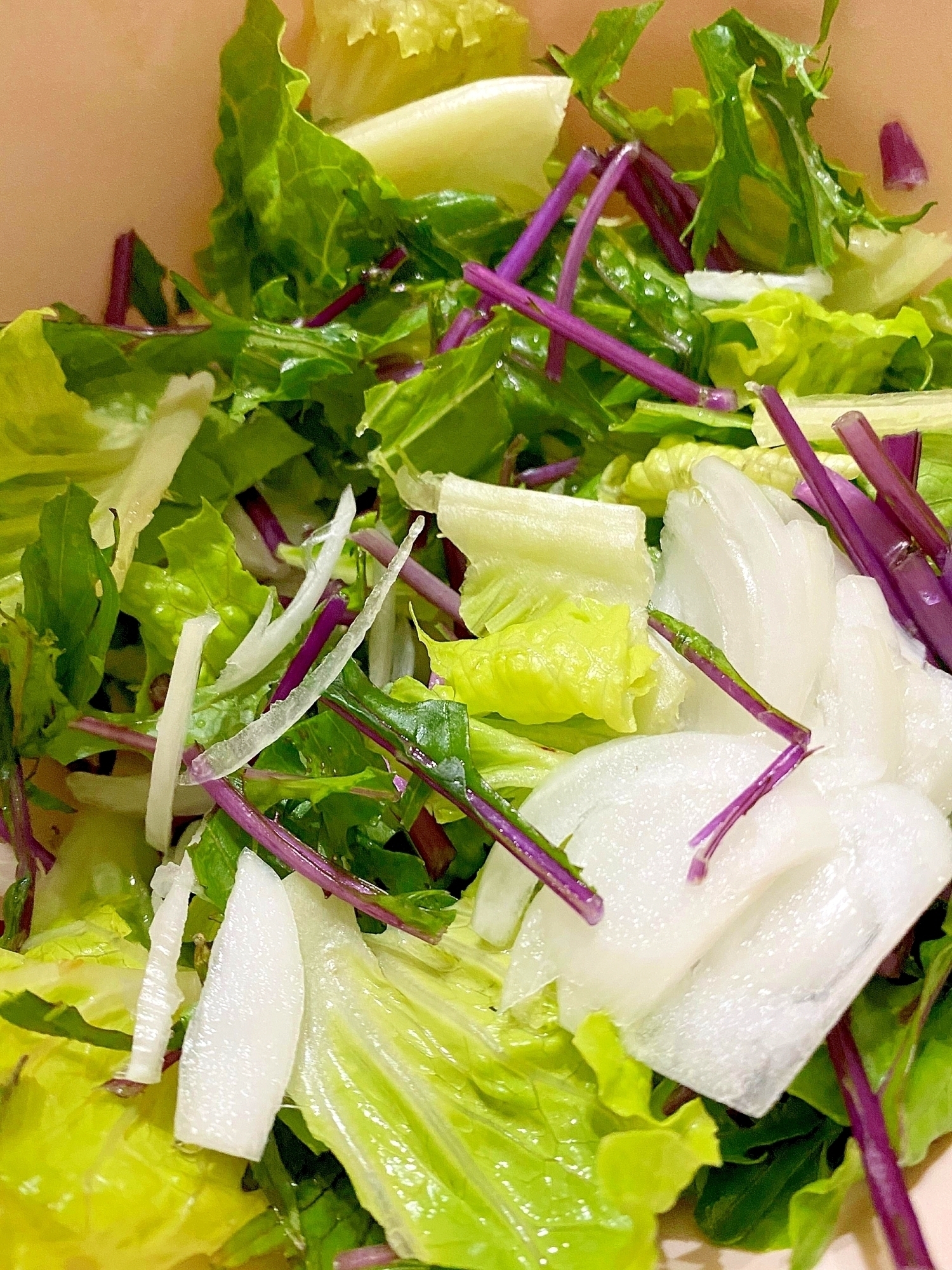 ピンク色の皿に盛られたルバーブのサラダ