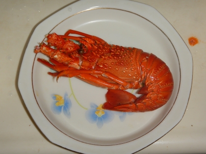 茹で方とさばき方 伊勢海老の塩ゆで レシピ 作り方 By Startrek 楽天レシピ 茹で方とさばき方 伊勢海老の塩ゆで レシピ 作り方 By Startrek 楽天レシピ