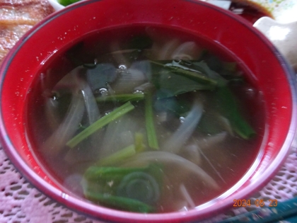 小松菜と玉ねぎの味噌汁