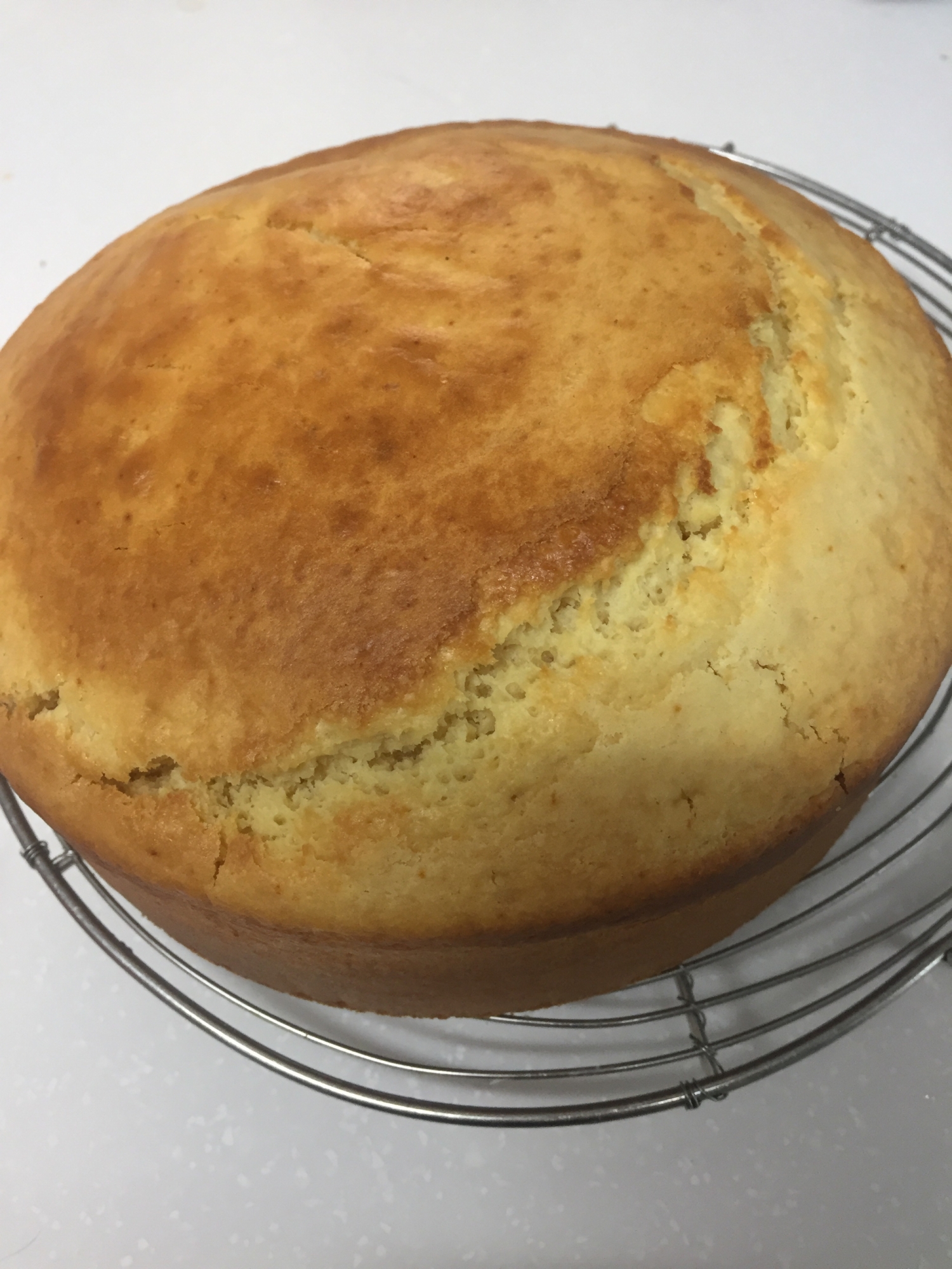 泡だて無し 卵なしhmスポンジケーキ レシピ 作り方 By とみ吉 とみ田 楽天レシピ