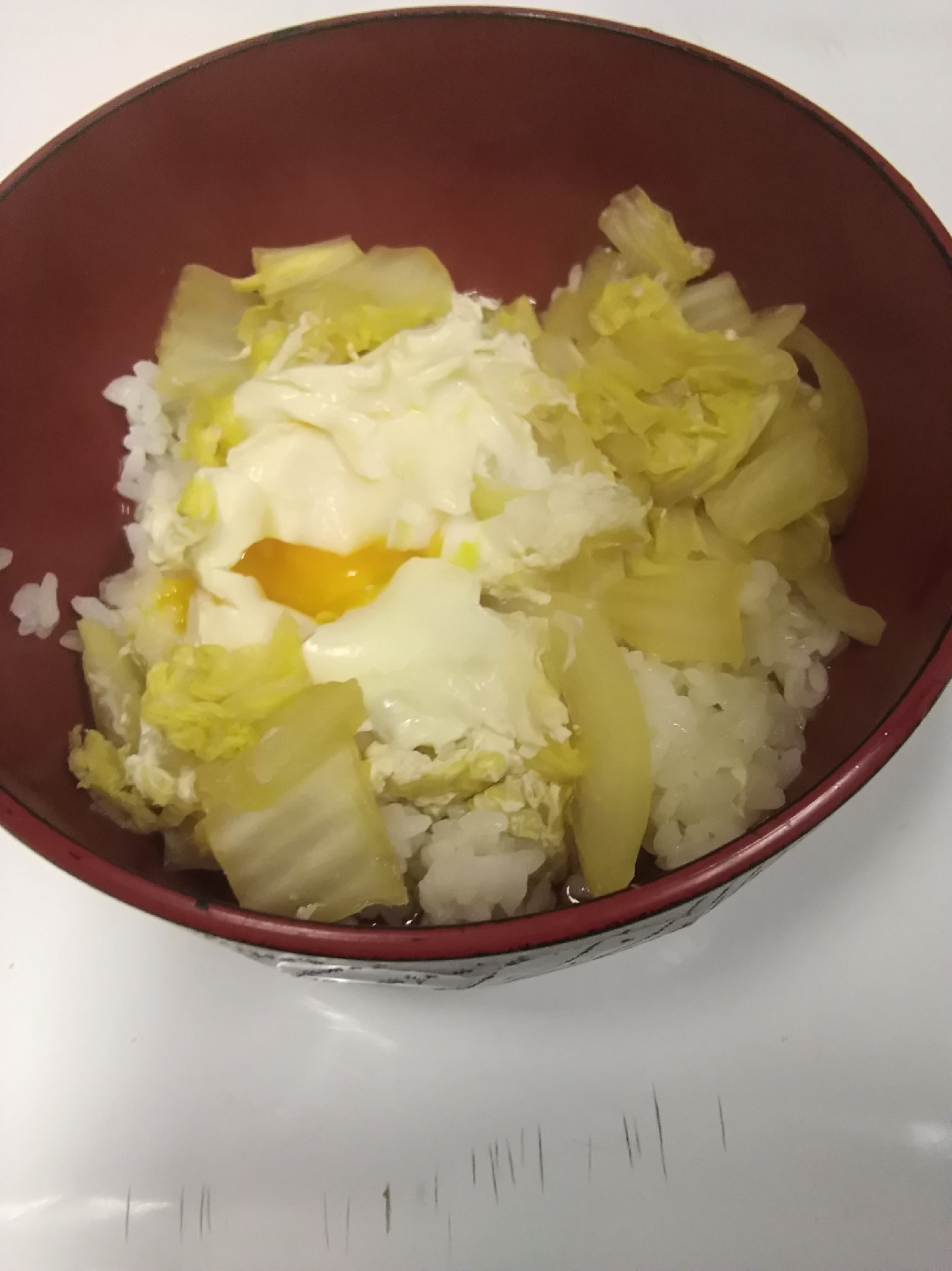 ヘルシー白菜と玉ねぎの玉子丼