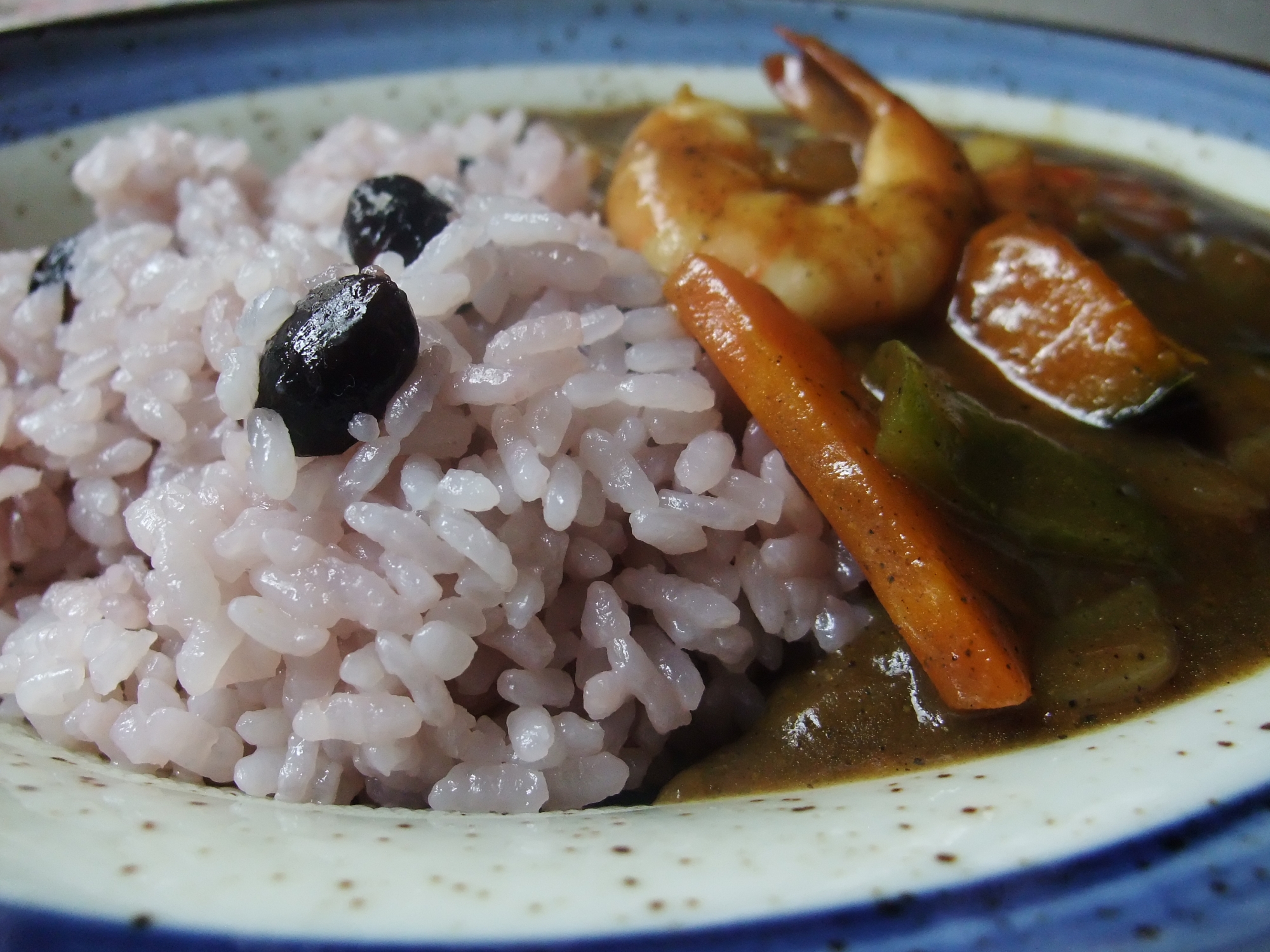 薬膳 黒カレー