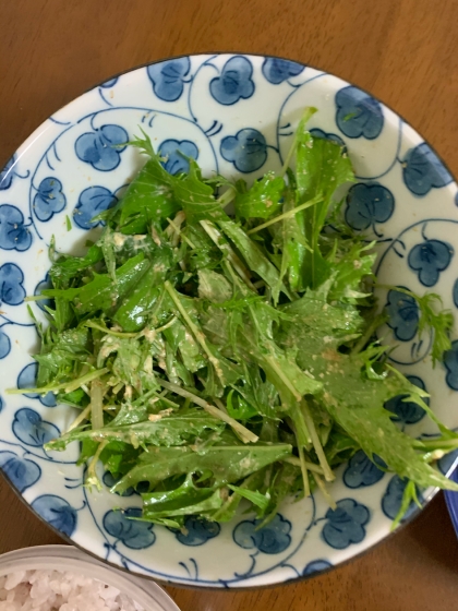 5分で作れる！水菜サラダ