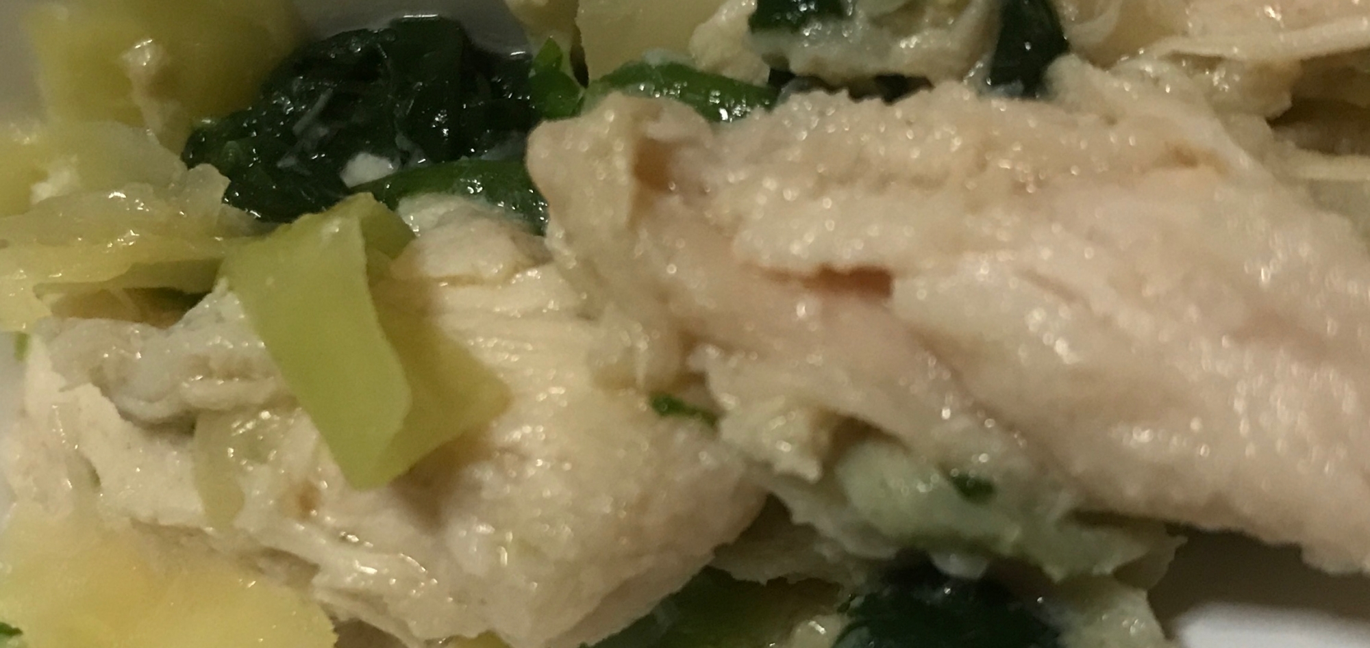 鳥ササミとネギの柔らか煮