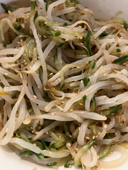 胃袋をつかめ！やみつきもやしときゅうりのナムル