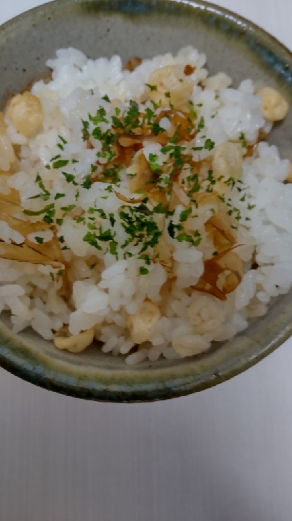 揚げ玉&鰹節の混ぜご飯（たぬき飯）